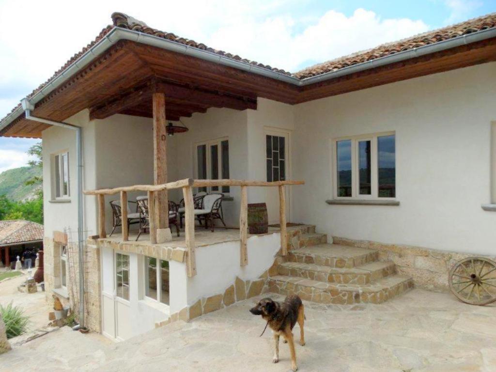 Guest House Biekorf Kostandenets Kültér fotó